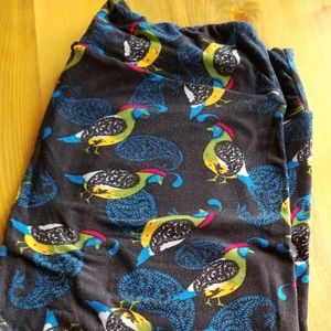 LLR TC Leggings